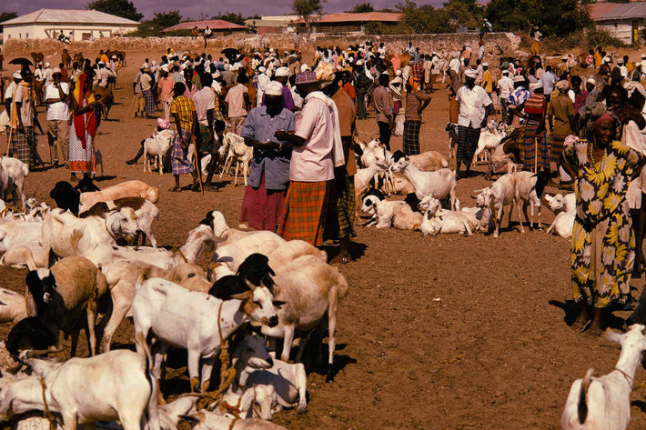 People at Goat Market