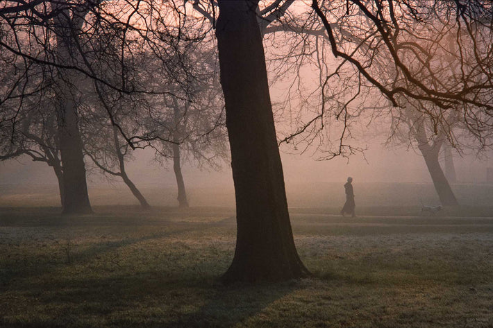 Fog, Trees, Figure, London