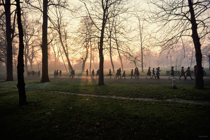 Mist, Trees, Running Kids, London