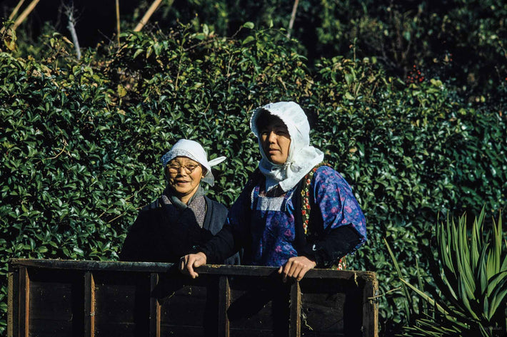 Two Women Farmers, Japan