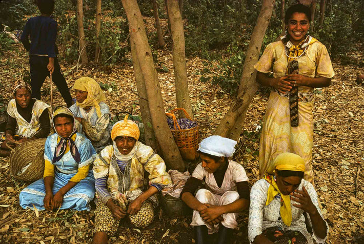 Young Girls in Forest, Marrakech