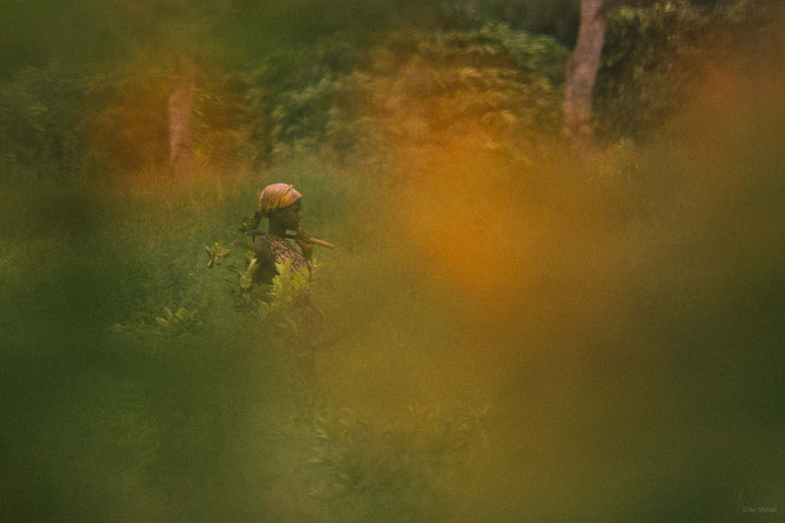 Woman in Forest Seen Through Green