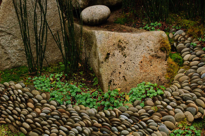 Pattern of Stones, Seattle