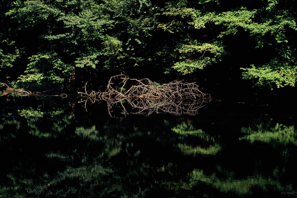 Water No 45 – Jay Maisel