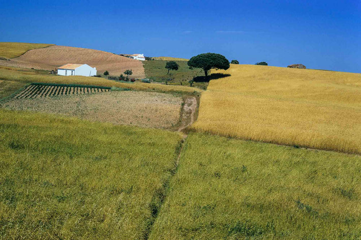 Landscape High Noon, Portugal