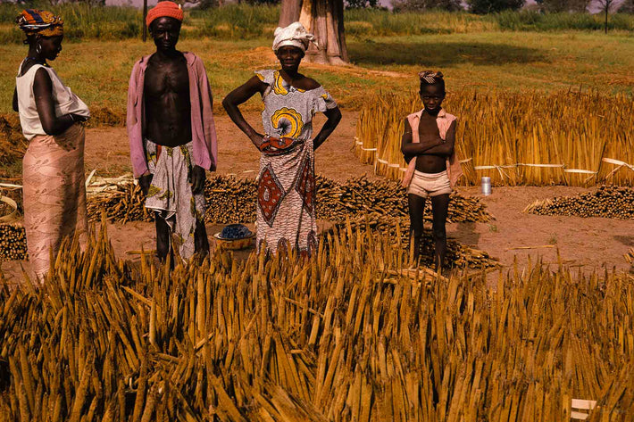 Four People in Field, Senegal