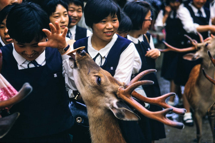 Deer and Young Girls, Japan