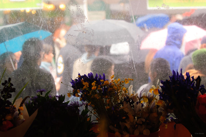 Flowers, Street Through Plastic, Seattle