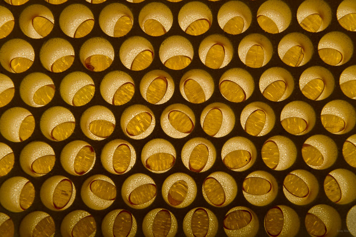 Vitamin Pills in Grid