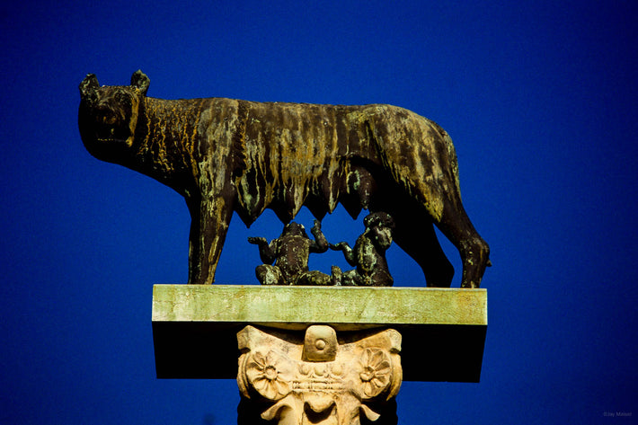 Romulus, Remus, She-wolf, Pisa, Italy