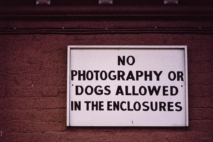 No Photography or Dogs, England