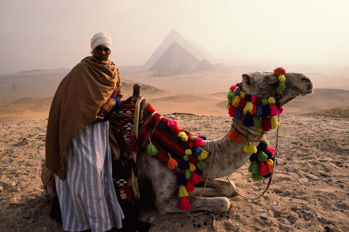 Camel Driver with Camel, Egypt
