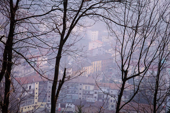 Trees and Buildings, Blue, Vicenza