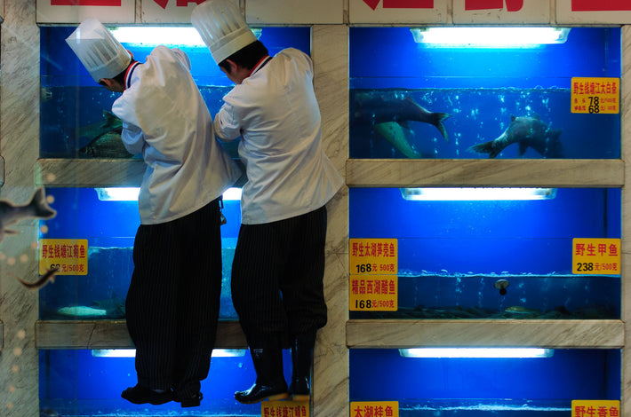 Two Chefs, Blue, with Fish, Shanghai
