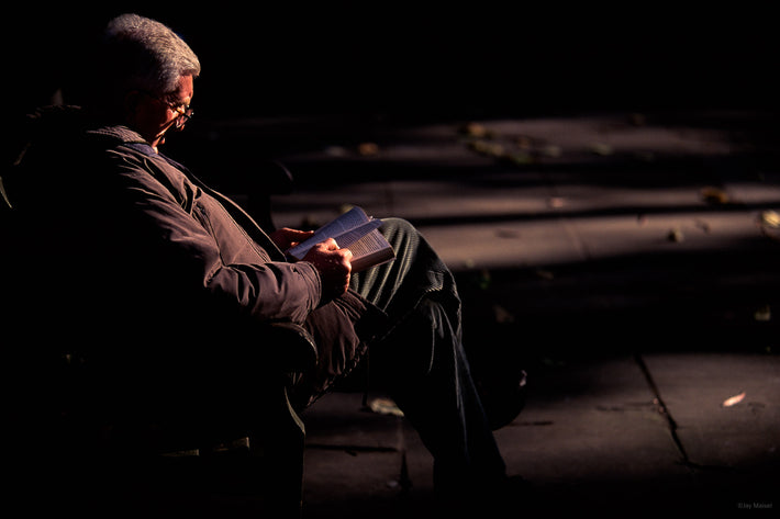 Man Reading in Park, London