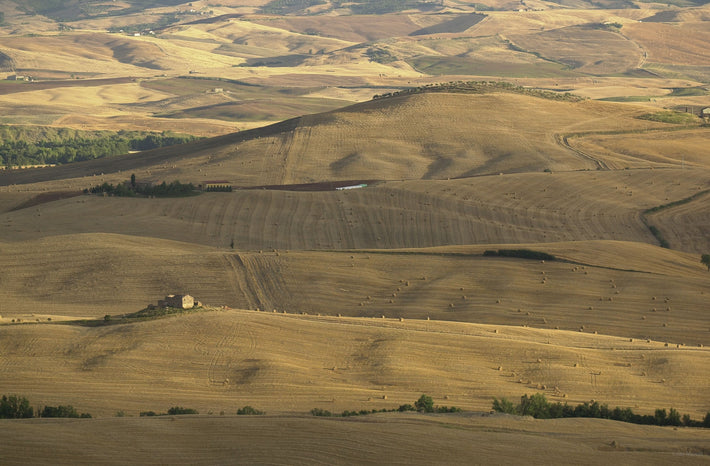 Landscape 2, Tuscany