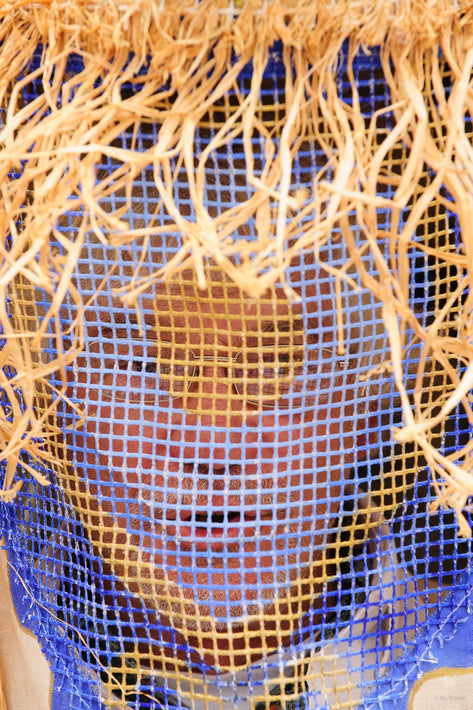 Head with Glasses Through Netting, Seattle