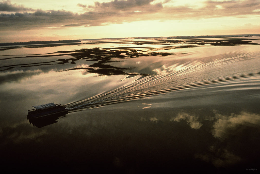 Water No 61 – Jay Maisel
