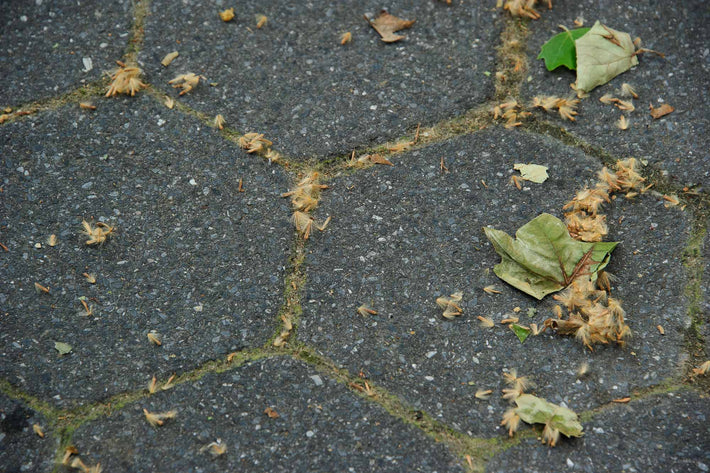 Street, Hexagons, Grass, NYC