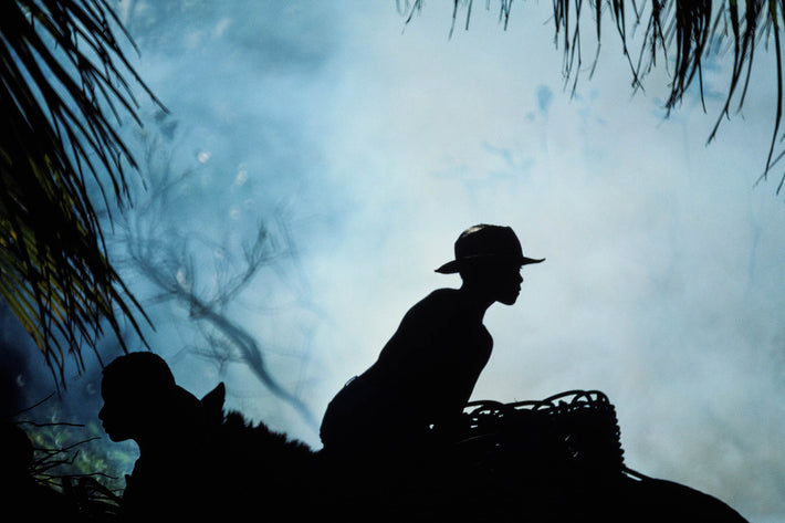 Silhouettes of Coconut Workers, Bahia