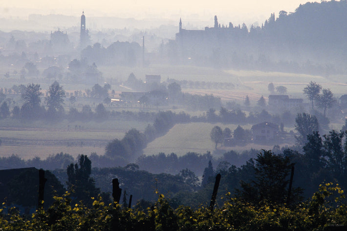 Aerial Perspective of Bushes, Trees, and Farmland, Vicenza