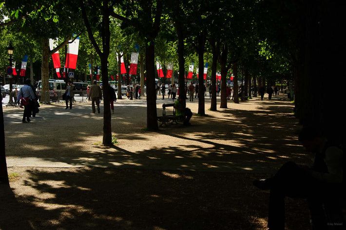 Trees, Flags, Trees, Paris