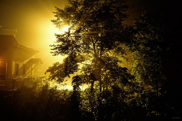 House, Tree, Night, Maine