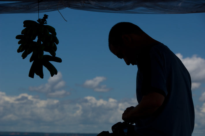 Man, Bananas, Amazon, Brazil