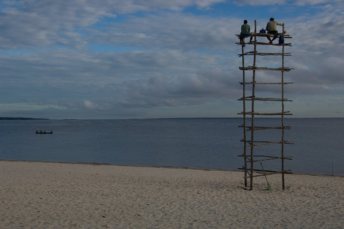 Fish Watching Tower, Amazon, Brazil