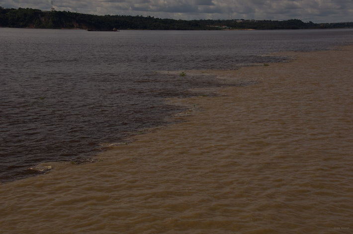 Two Amazons Converging, Amazon, Brazil