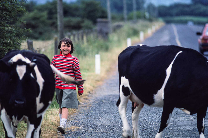 Girl with Cows, Ireland