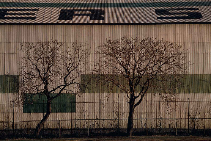Trees, Fence, Corrugated Building, NY
