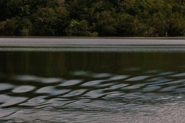 River Pattern 3, Amazon, Brazil