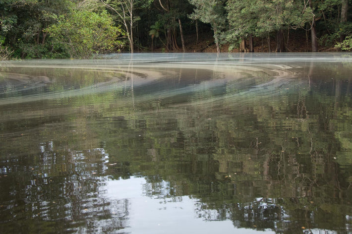 Curved Water, Amazon, Brazil