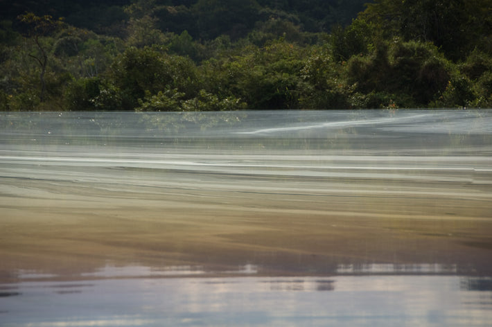 Water and Forest, Amazon, Brazil