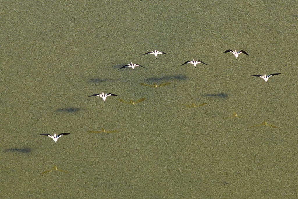 Water No 78 – Jay Maisel