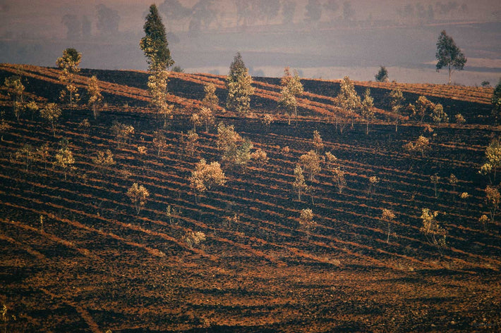 Burn-off, Madagascar