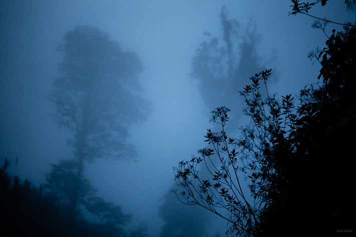 Misty Blue, Costa Rica