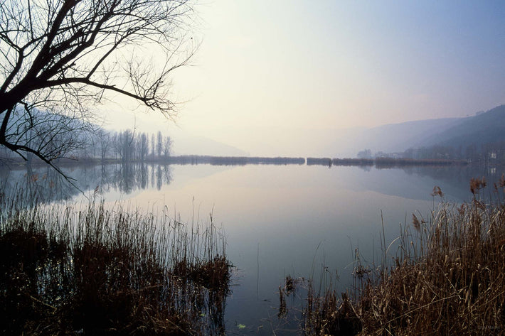 Lake and Reflection with Trees, Vicenza