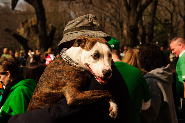 St. Patrick&apos;s Day Parade, NYC 87