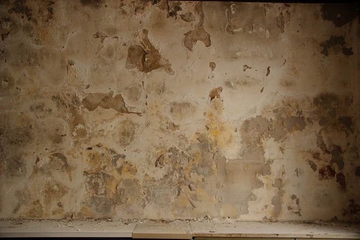 6th Floor Decayed Wall after Moving