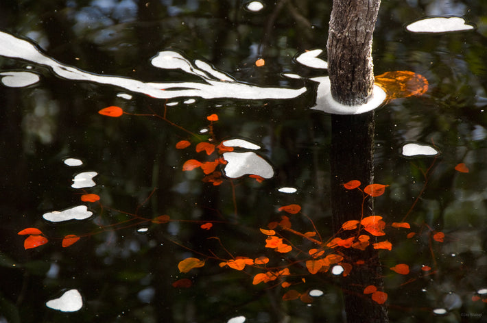 Bit of Foam, Amazon, Brazil