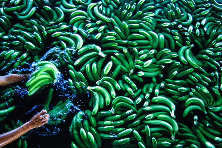 Banana Wash, Costa Rica