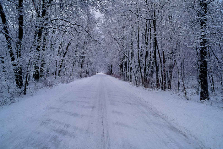 Snowy Road, Maine