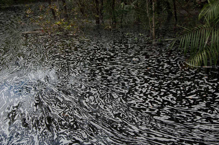 Mostly Foam Pattern, Amazon, Brazil