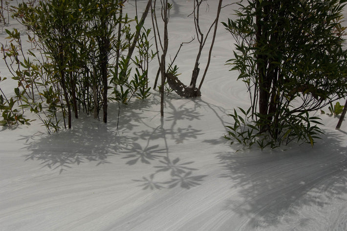 Completely Foam, Amazon, Brazil