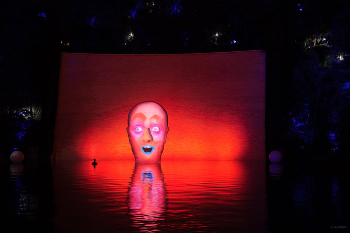 Projected Head at Pool Show, Las Vegas