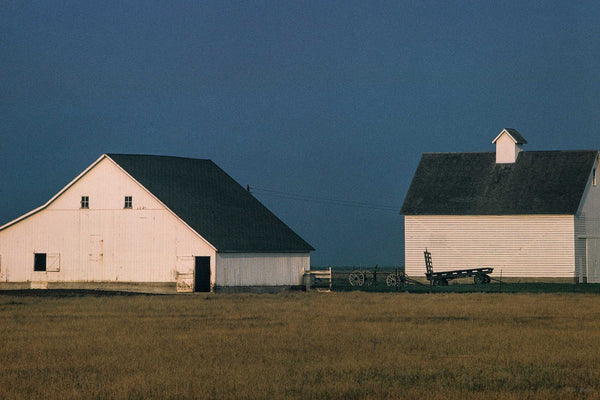 Two White Barns