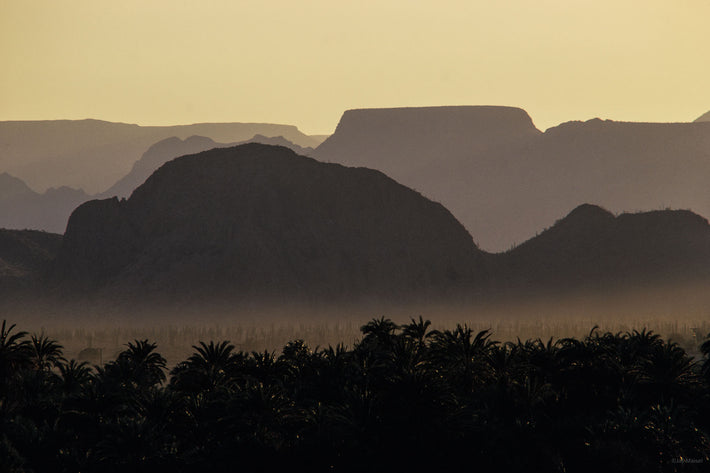 Palm Trees with Mesas, Baja