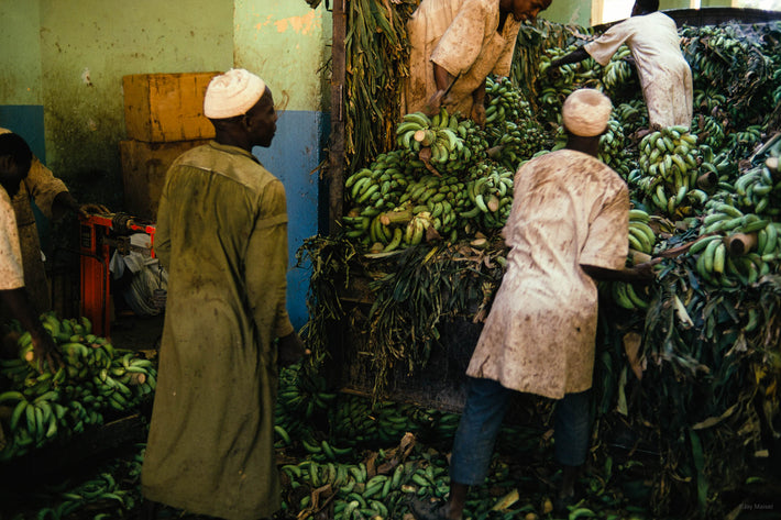 Men with Green Bananas, Khartoum